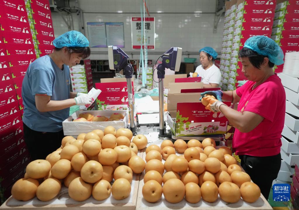 银河官网网址下载